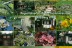 Regionalverband der Gartenfreunde Freiberg e.V.